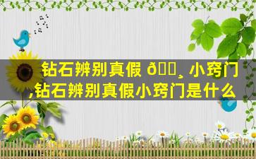 钻石辨别真假 🕸 小窍门,钻石辨别真假小窍门是什么